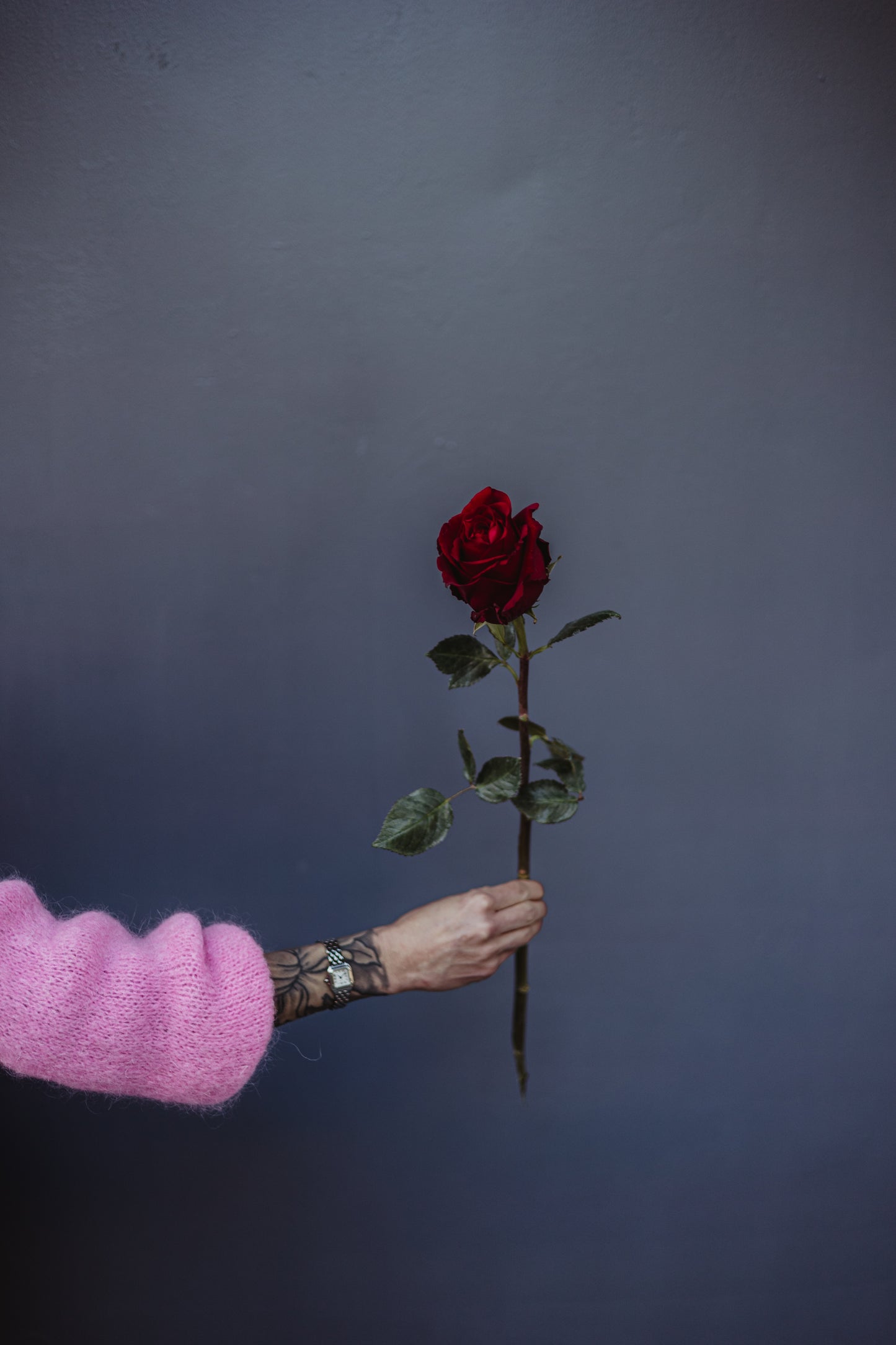 Rose rouge 50cm