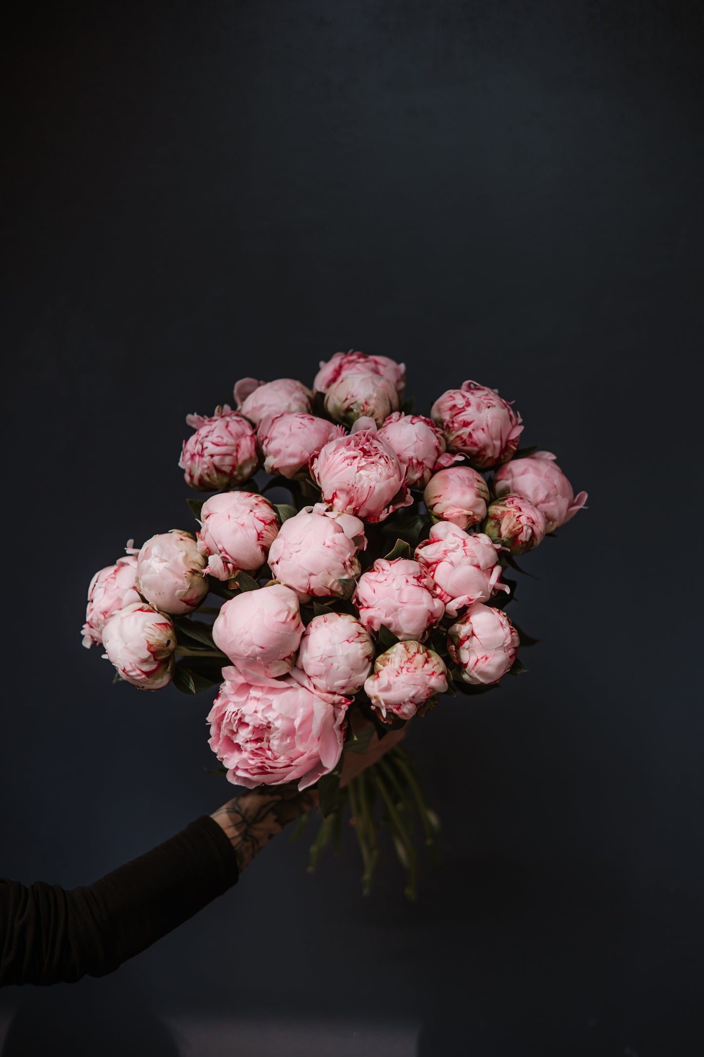 1 Pivoine rose pale à l'unité