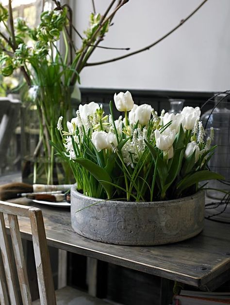Premier Atelier Floral de 2025 Technique alternatives avec jacinthes et tulipes