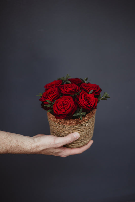 Corbeille de roses rouge